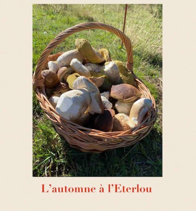 L'Eterlou Authentique Partie De Corps De Ferme 10Pers. Villa Targassonne Dış mekan fotoğraf